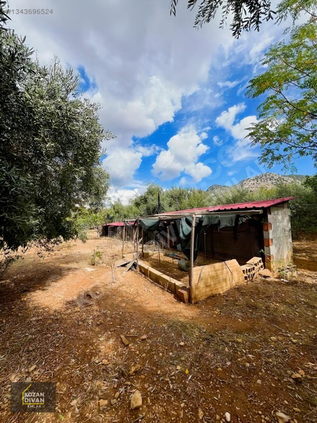 Kozan Divan Emlak'tan Aslanpaşa'da 4 Kata İmarlı Geniş Arsa — fotoğraf 18