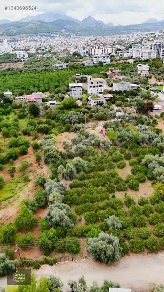 Kozan Divan Emlak'tan Aslanpaşa'da 4 Kata İmarlı Geniş Arsa — fotoğraf 26