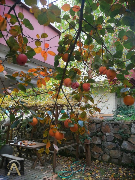 4 Katlı Villa 1 Daire Fiyatına Fırsatı Kaçırma İletişime Geç — fotoğraf 6
