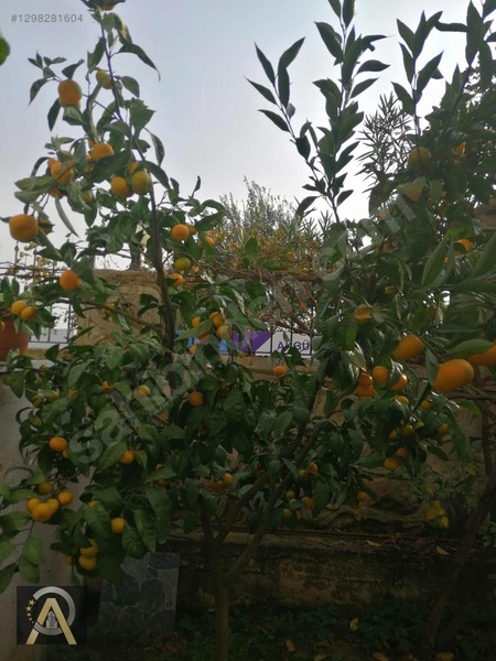 4 Katlı Villa 1 Daire Fiyatına Fırsatı Kaçırma İletişime Geç — fotoğraf 34