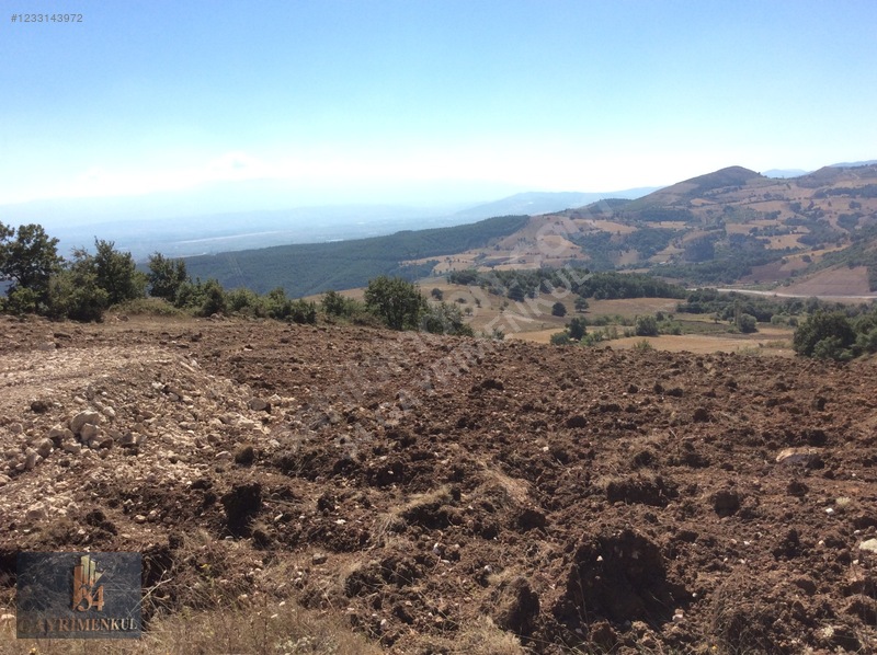 İznik Derbent 'teki En Ucuz Arazi! 13dönüm Ve Göl Görüyor! — fotoğraf 9