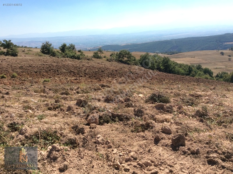 İznik Derbent 'teki En Ucuz Arazi! 13dönüm Ve Göl Görüyor! — fotoğraf 10