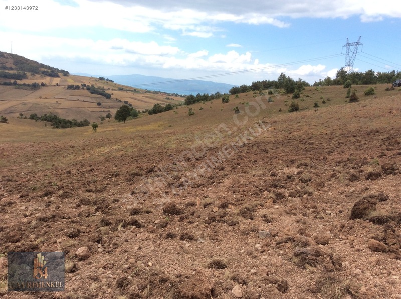 İznik Derbent 'teki En Ucuz Arazi! 13dönüm Ve Göl Görüyor! — fotoğraf 14