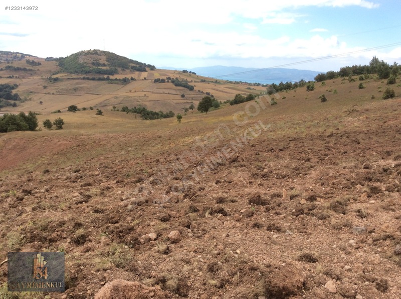 İznik Derbent 'teki En Ucuz Arazi! 13dönüm Ve Göl Görüyor! — fotoğraf 22