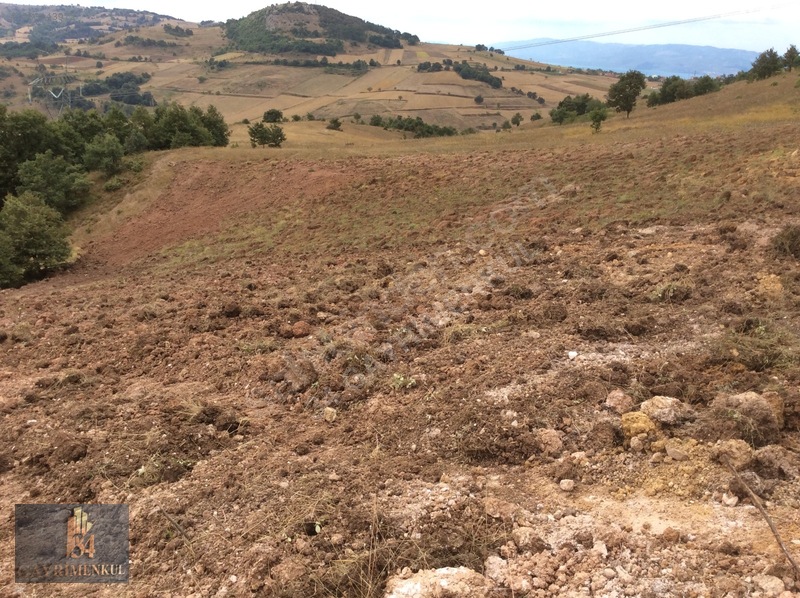 İznik Derbent 'teki En Ucuz Arazi! 13dönüm Ve Göl Görüyor! — fotoğraf 29