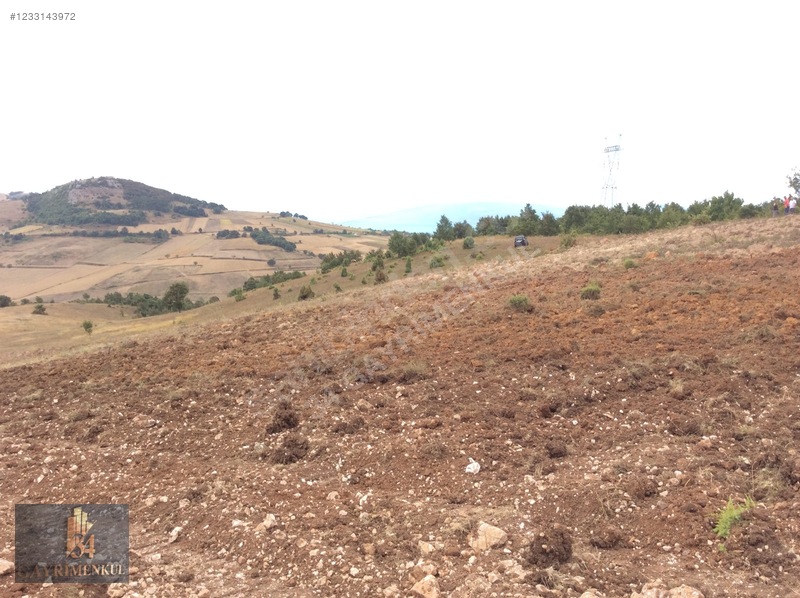 İznik Derbent 'teki En Ucuz Arazi! 13dönüm Ve Göl Görüyor! — fotoğraf 30