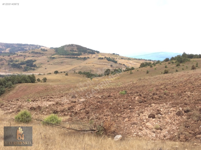 İznik Derbent 'teki En Ucuz Arazi! 13dönüm Ve Göl Görüyor! — fotoğraf 32