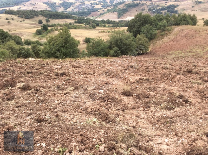 İznik Derbent 'teki En Ucuz Arazi! 13dönüm Ve Göl Görüyor! — fotoğraf 33