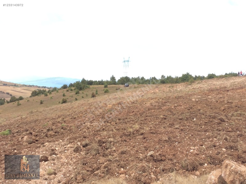 İznik Derbent 'teki En Ucuz Arazi! 13dönüm Ve Göl Görüyor! — fotoğraf 36