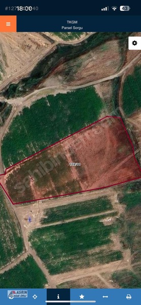 Asrın Emlak'tan Kangal Davulbaz Da Satılık 30 Dnm Tek Tapu Tarla