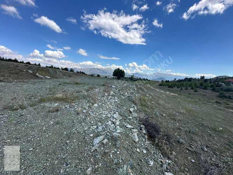 Yayla Gökben Müstakil Tapulu Satılık 4227 Metre Tarla — fotoğraf 3