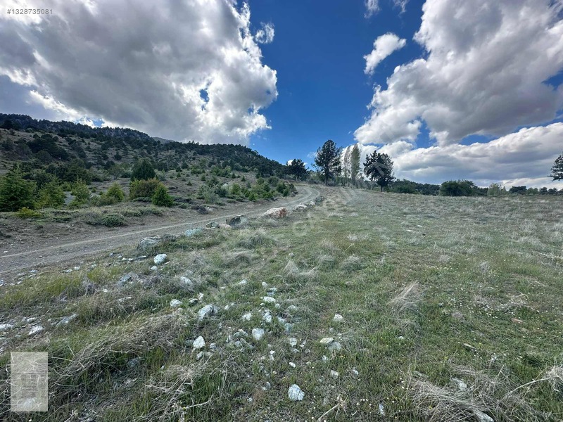 Yayla Gökben Müstakil Tapulu Satılık 4227 Metre Tarla — fotoğraf 4