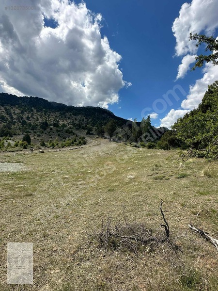 Yayla Gökben Müstakil Tapulu Satılık 4227 Metre Tarla — fotoğraf 5