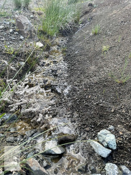 Yayla Gökben Müstakil Tapulu Satılık 4227 Metre Tarla — fotoğraf 8