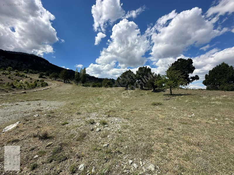 Yayla Gökben Müstakil Tapulu Satılık 4227 Metre Tarla — fotoğraf 9