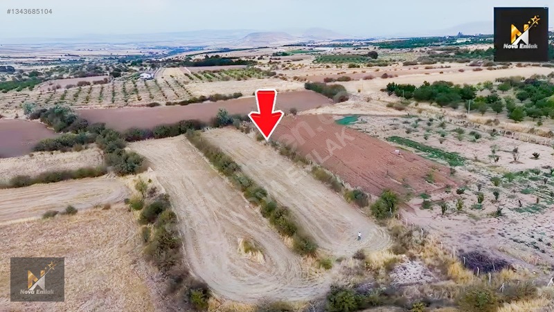 Baskil Yolunda Satılık Bahçe Yapımına Uygun Tarla — fotoğraf 3