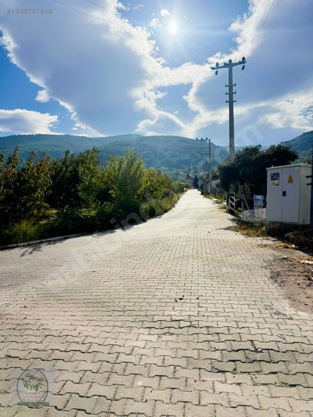 Köye Yürüme Mesafesinde — fotoğraf 8