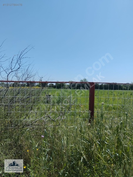 Manisa Yunusemre Evronos Satılık Sanayii Arsası — fotoğraf 2