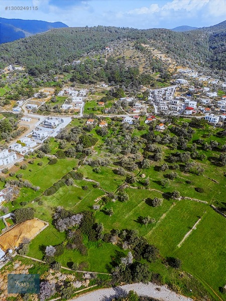 Satılık Yalıçiftlik'te 4.238 M2 İmarlı , Kargır Taş Ev Ve Arsası — fotoğraf 3