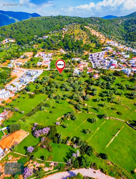 Satılık Yalıçiftlik'te 4.238 M2 İmarlı , Kargır Taş Ev Ve Arsası — fotoğraf 6
