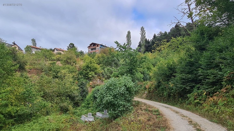 Zeybek*den 4.239.m2 Satilik Findik.bahcesi İnebolu Yaztepe Köyü — fotoğraf 5