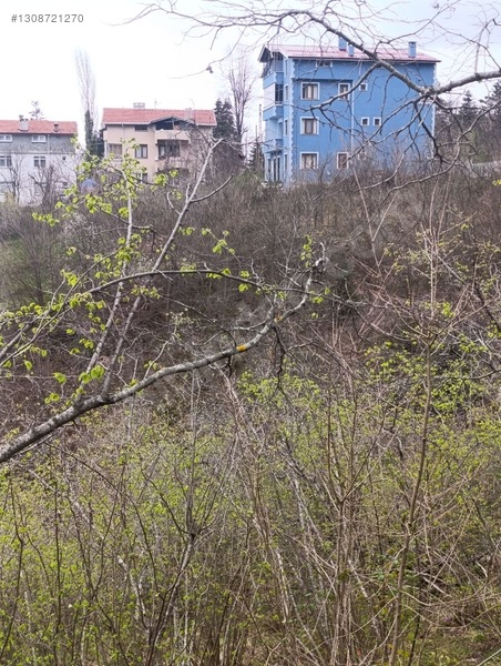 Zeybek*den 4.239.m2 Satilik Findik.bahcesi İnebolu Yaztepe Köyü — fotoğraf 11