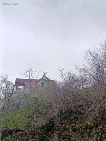 Zeybek*den 4.239.m2 Satilik Findik.bahcesi İnebolu Yaztepe Köyü — fotoğraf 17