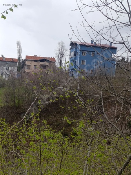 Zeybek*den 4.239.m2 Satilik Findik.bahcesi İnebolu Yaztepe Köyü — fotoğraf 18