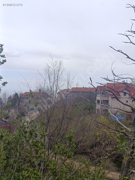 Zeybek*den 4.239.m2 Satilik Findik.bahcesi İnebolu Yaztepe Köyü — fotoğraf 19