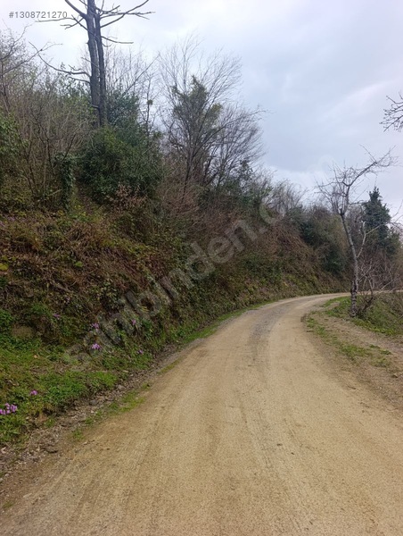 Zeybek*den 4.239.m2 Satilik Findik.bahcesi İnebolu Yaztepe Köyü — fotoğraf 20