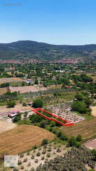 Yeşilyurt'ta 548m2 Yolu Olan Yerleşime Çok Yakın Tarla — fotoğraf 5