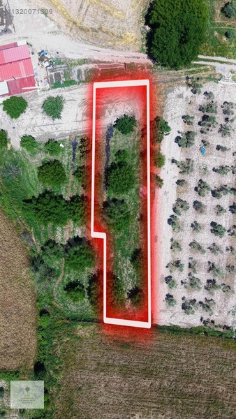 Yeşilyurt'ta 548m2 Yolu Olan Yerleşime Çok Yakın Tarla — fotoğraf 10