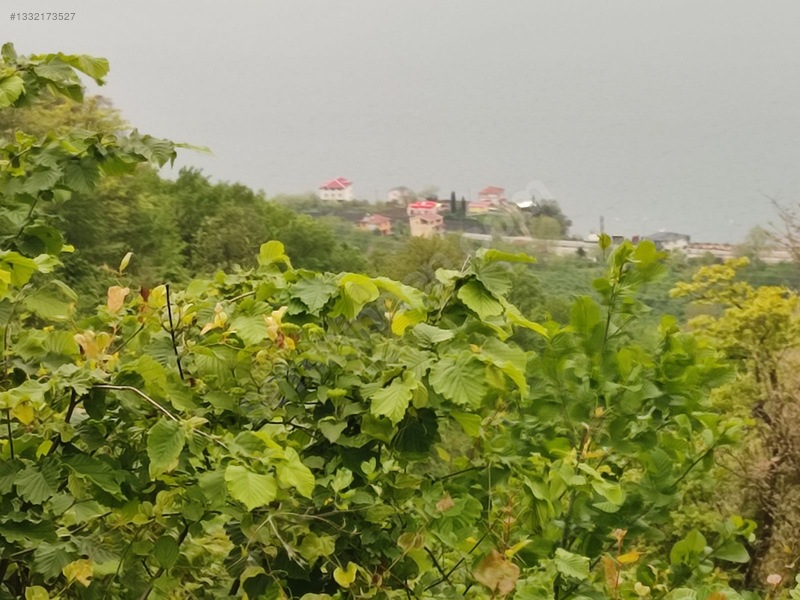 Fume Emlaktan Satılık Full Deniz Manzaralı Arazi — fotoğraf 8