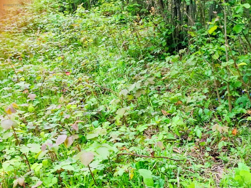 Fume Emlaktan Satılık Full Deniz Manzaralı Arazi — fotoğraf 12