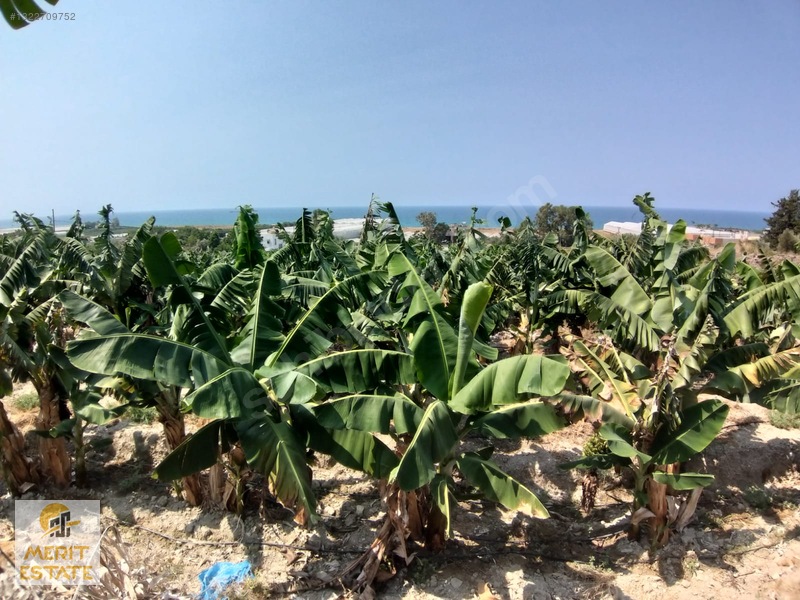 Demirtaş Yeşilöz Mah. Full Deniz Manzaralı Satılık 2300m2 Arsa
