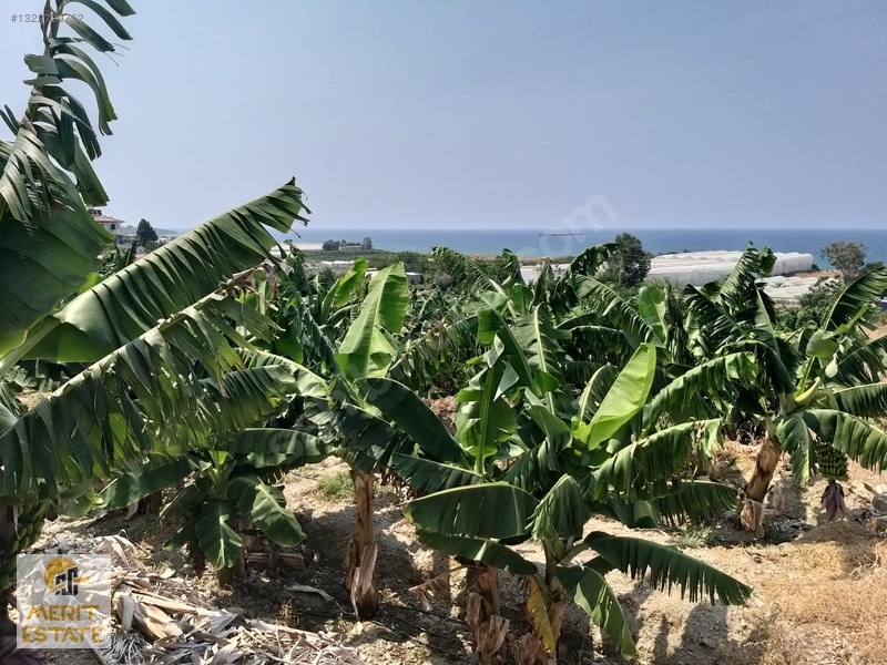 Demirtaş Yeşilöz Mah. Full Deniz Manzaralı Satılık 2300m2 Arsa — fotoğraf 2