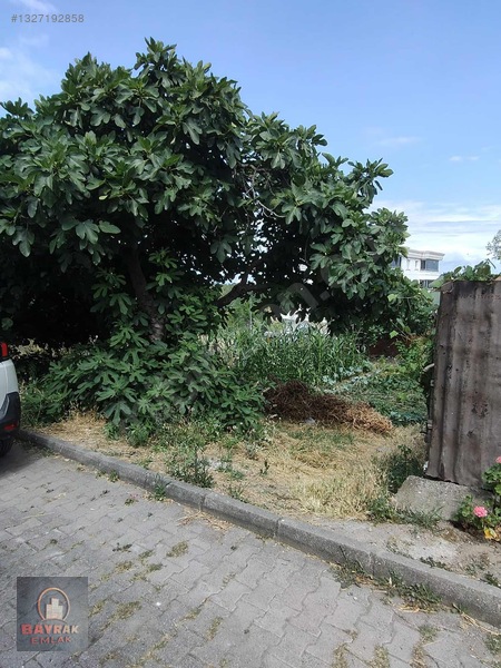 Bayrak Emlaktan Karasamsunda Satılık Arsa — fotoğraf 3