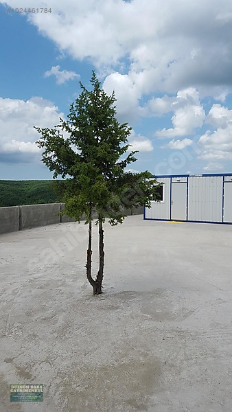 Düzgün Babadan İlimtepe Merkezde Bir Çok İşe Uygun Kiralık Arsa — fotoğraf 9