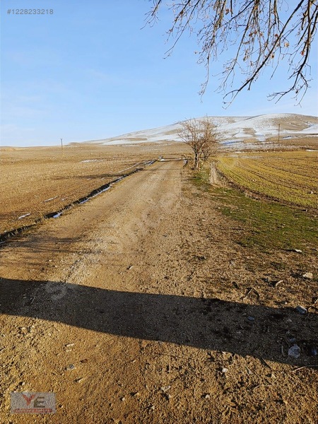 Kırşehir Ulupınar Da Yatırımlık Fırsat Satılık