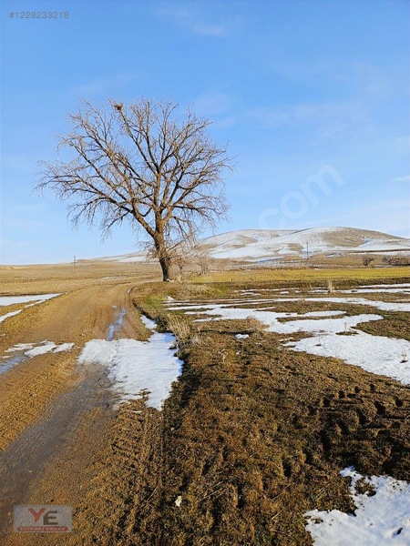 Kırşehir Ulupınar Da Yatırımlık Fırsat Satılık — fotoğraf 11