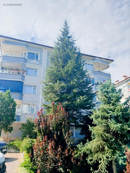 Tokat Bizim Emlaktan Kiralık Daire — fotoğraf 3
