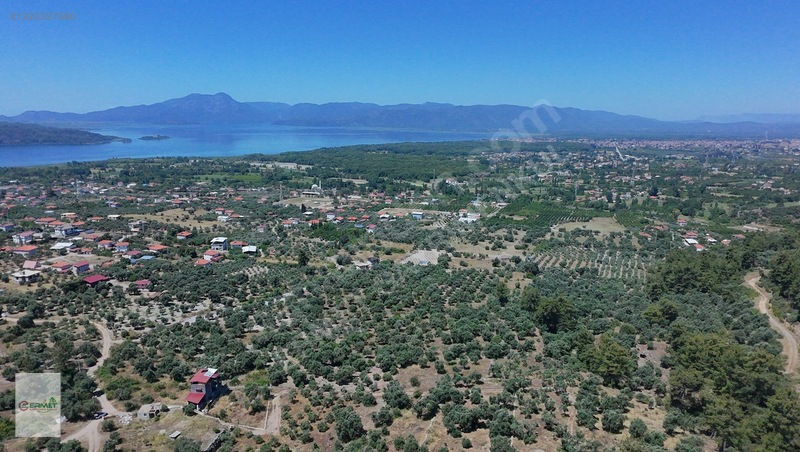 Ermet Gayrimenkul'Den Zeytin Alanında Fırsat 2 B Arazisi