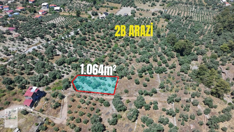 Ermet Gayrimenkul'den Zeytin Alanında Fırsat 2 B Arazisi — fotoğraf 2