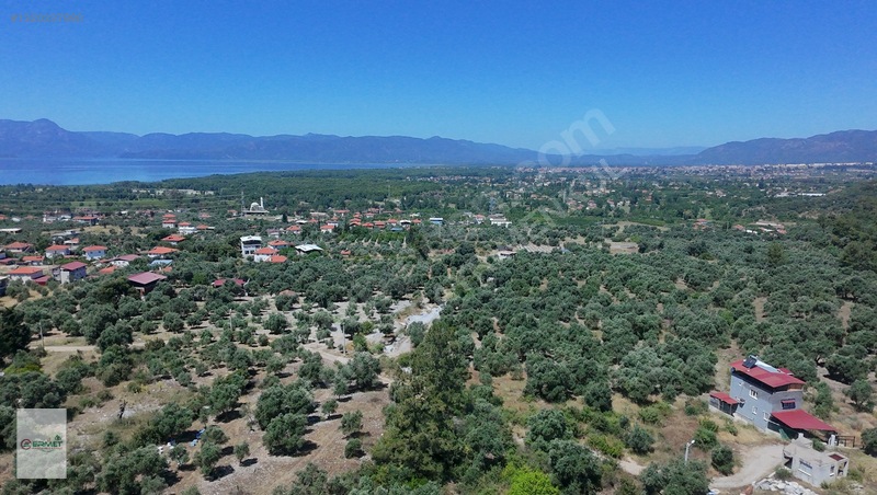 Ermet Gayrimenkul'den Zeytin Alanında Fırsat 2 B Arazisi — fotoğraf 4