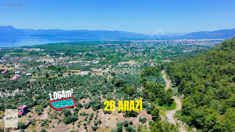 Ermet Gayrimenkul'den Zeytin Alanında Fırsat 2 B Arazisi — fotoğraf 5