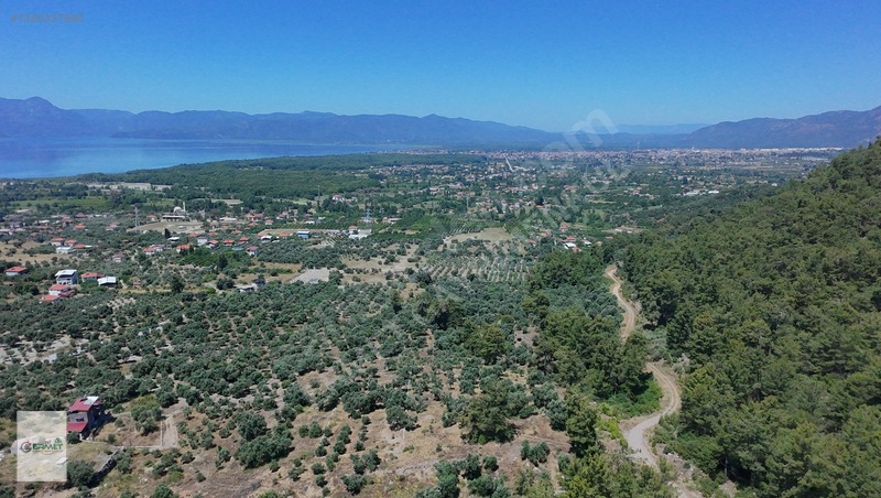 Ermet Gayrimenkul'den Zeytin Alanında Fırsat 2 B Arazisi — fotoğraf 7