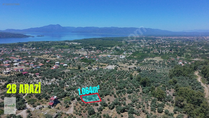 Ermet Gayrimenkul'den Zeytin Alanında Fırsat 2 B Arazisi — fotoğraf 10