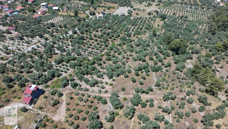 Ermet Gayrimenkul'den Zeytin Alanında Fırsat 2 B Arazisi — fotoğraf 11
