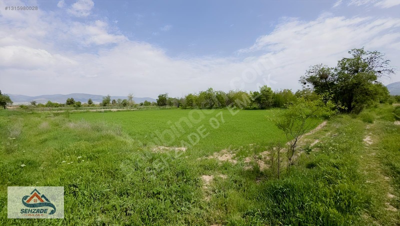 Bozova'da 1.766 M² Satılık Tarla - Yol Cepheli, Sulama İmkanlı — fotoğraf 6