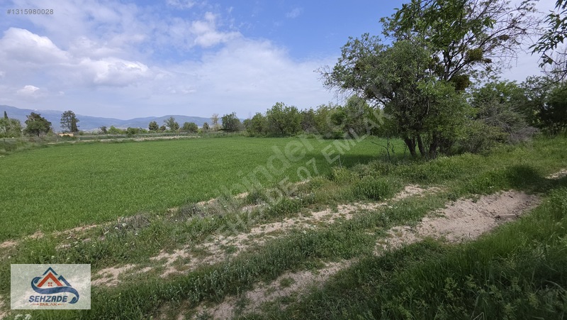 Bozova'da 1.766 M² Satılık Tarla - Yol Cepheli, Sulama İmkanlı — fotoğraf 7
